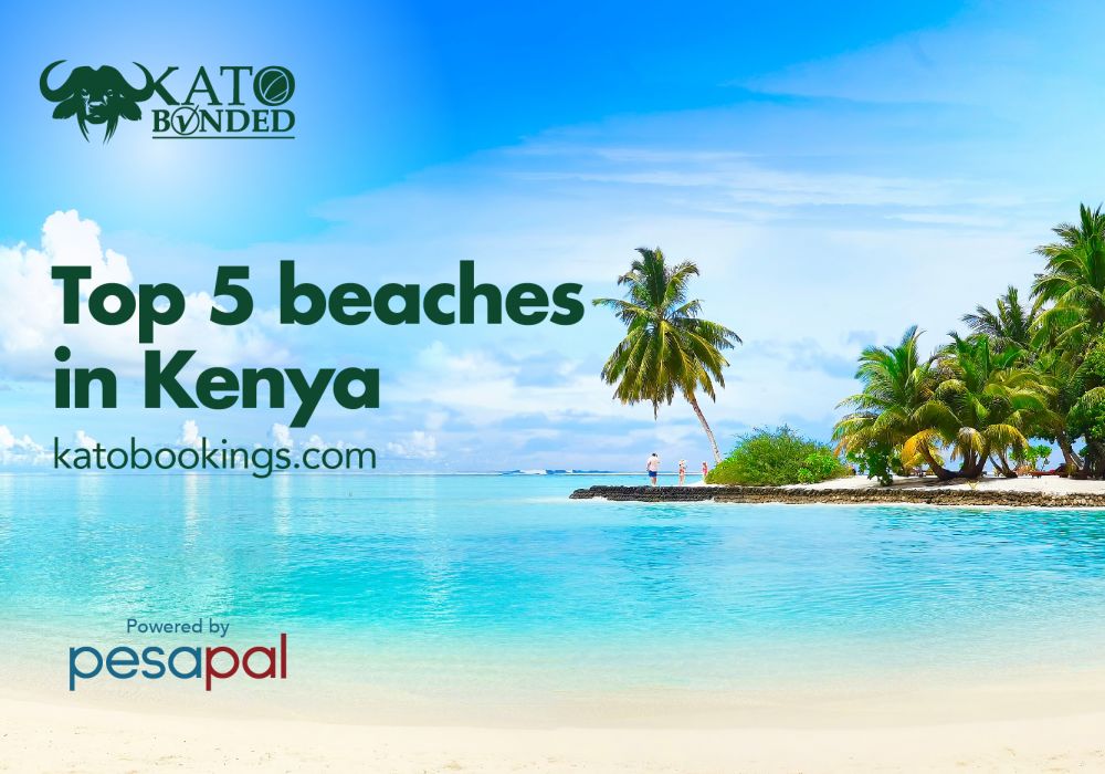 Top 5 Beaches in Kenya
