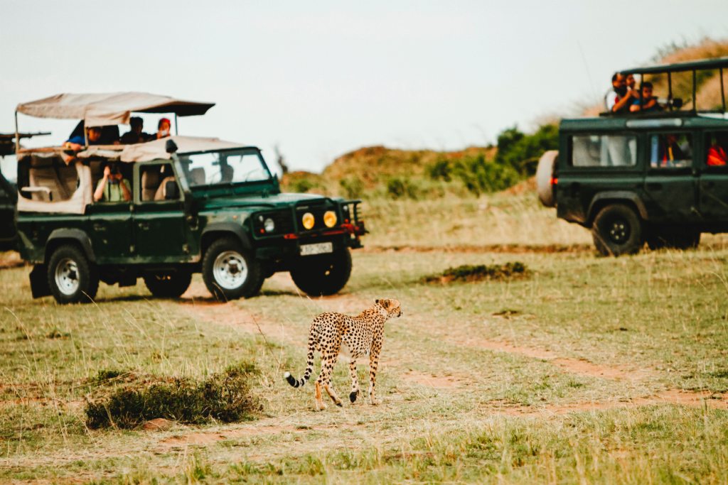 Kichaka Tours and Travel Ltd