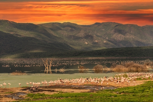 Baringo
