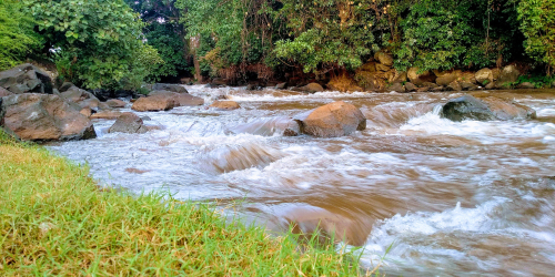 Kirinyaga