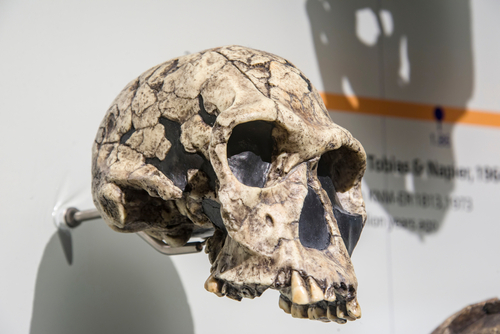 Lokichogio