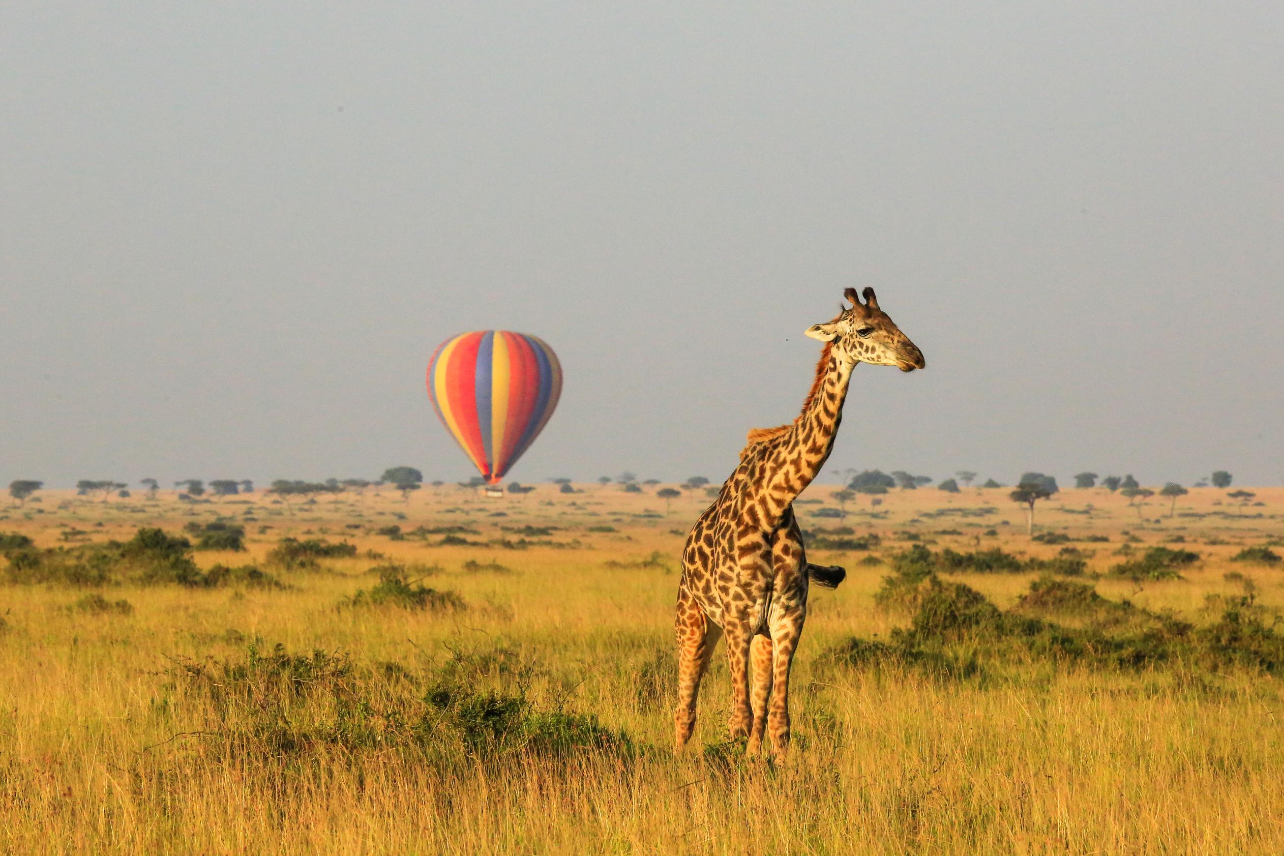 Masai Mara National Reserve