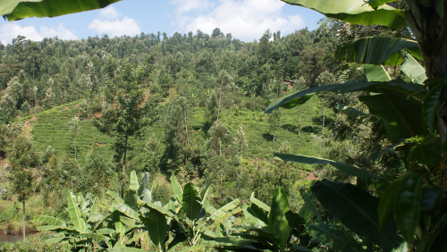 Murang'a