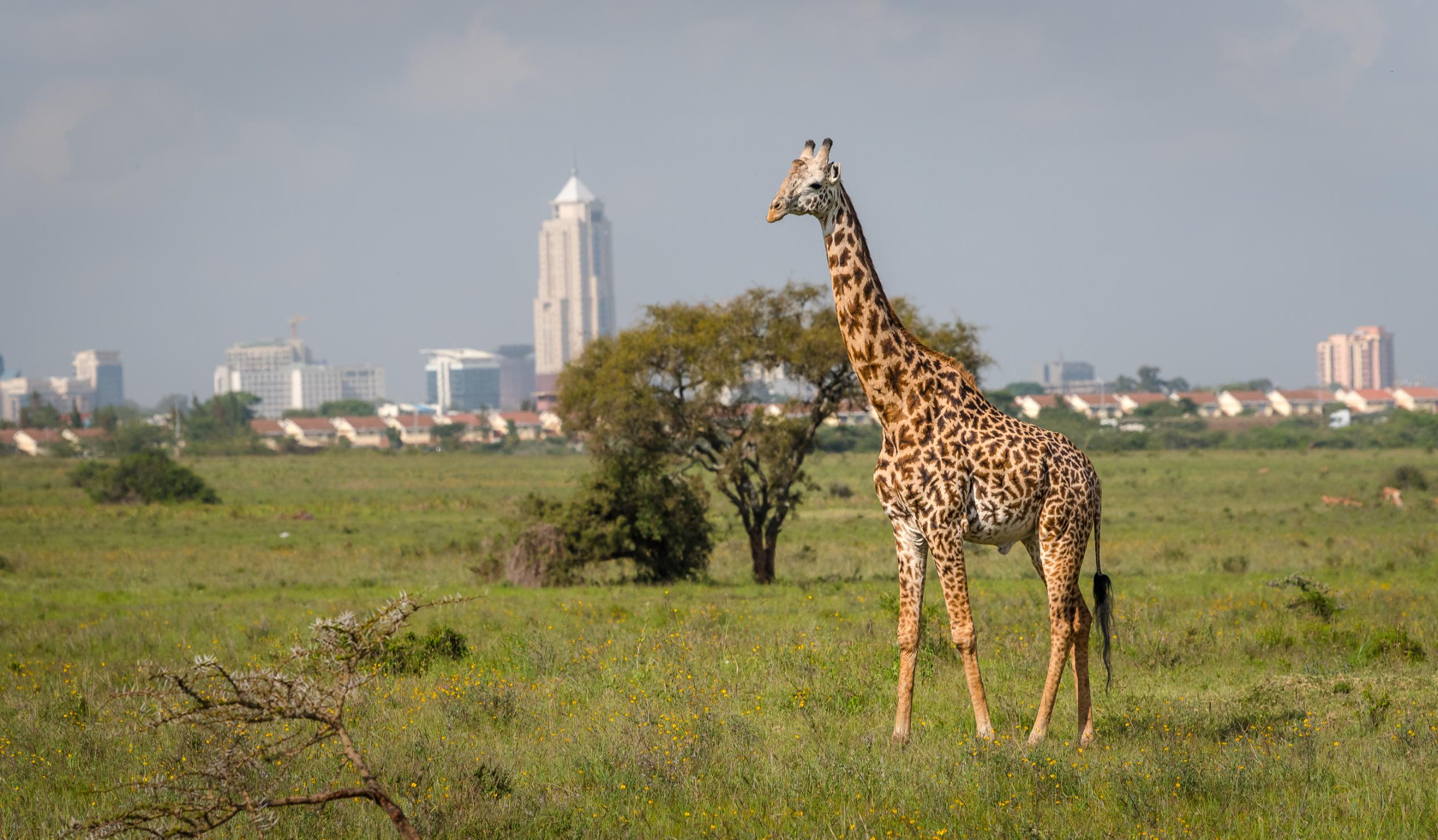 Nairobi