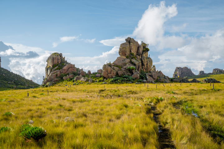 Nyandarua