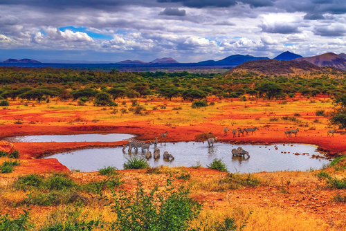 Taita-Taveta