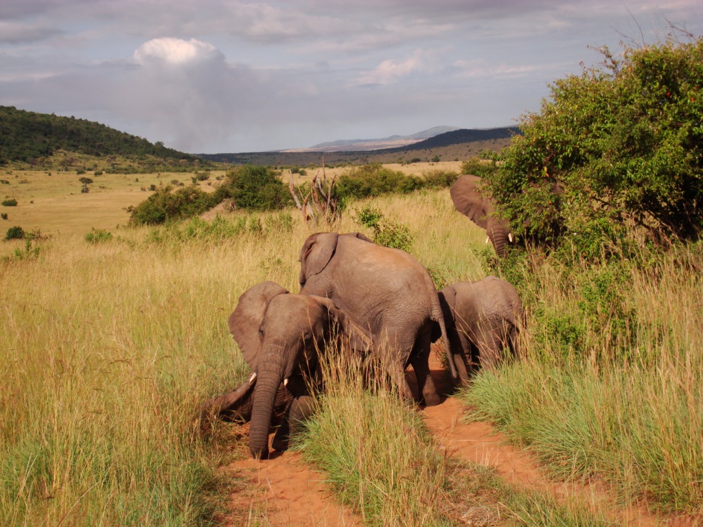 Favour Tours & Safaris Ltd