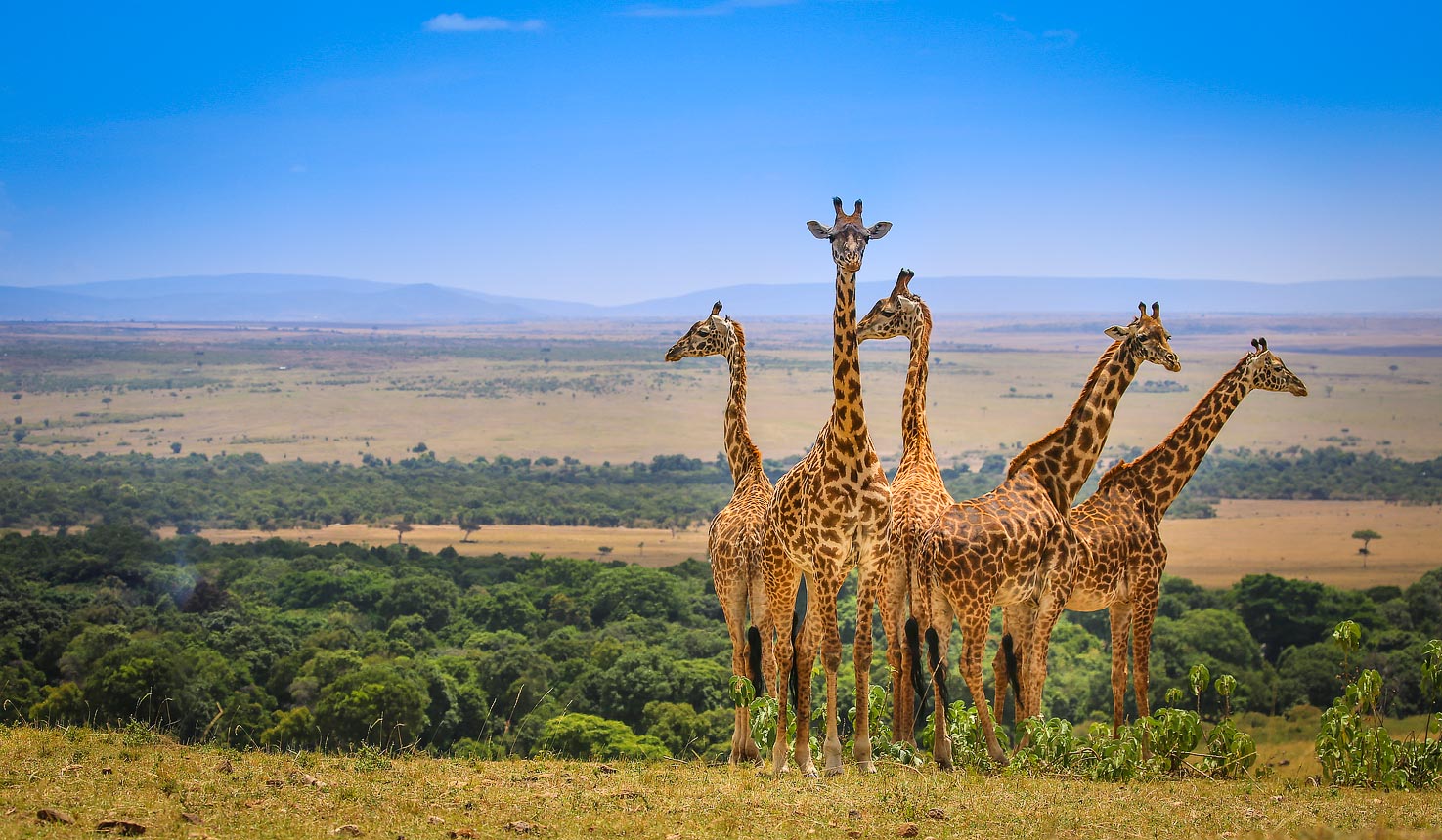 Kwezi Safaris Ltd