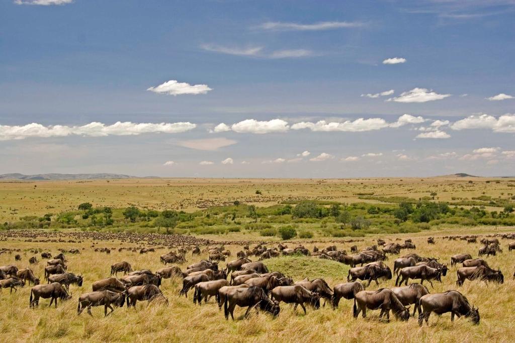Twiga Car Hire & Tours Ltd