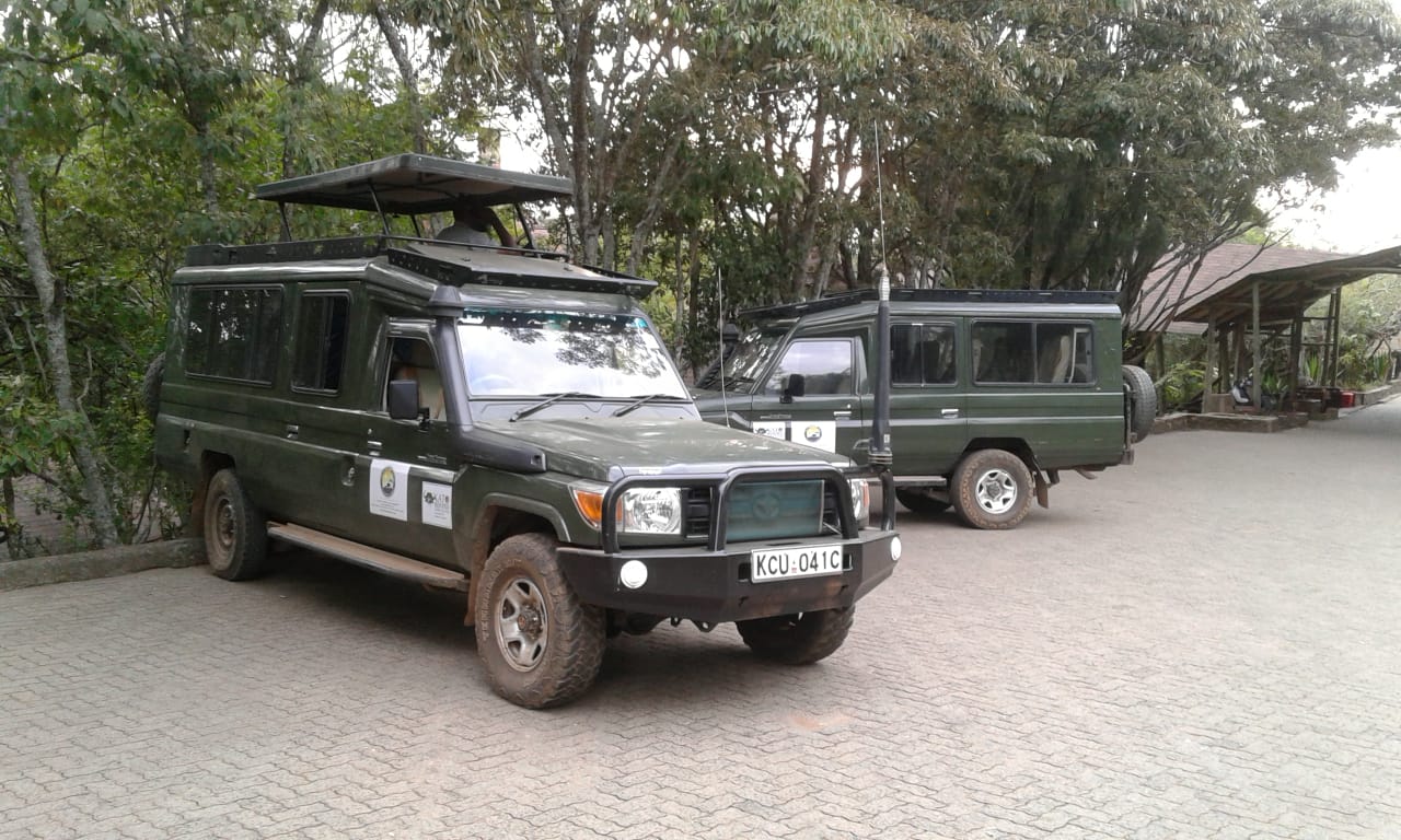 Twinkle Star Tours & Safaris Ltd